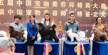 2015年6月参加哈尔滨中国宠物美容师导师级精英大赛，获得最佳优秀奖