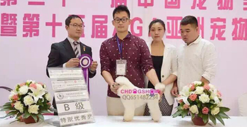 2015年9月份参加哈尔滨中国宠物美容师鉴定大赛，获得B级最佳优秀奖