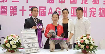 2015年10月参加大连中国宠物美容师导师级精英大赛，获得最佳优秀奖