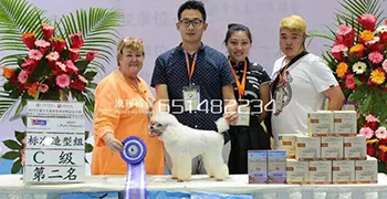2015年6月参加大连中国宠物美容师鉴定大赛获得C级第二名的好成绩